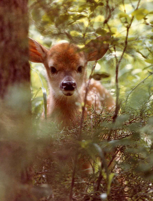 image02