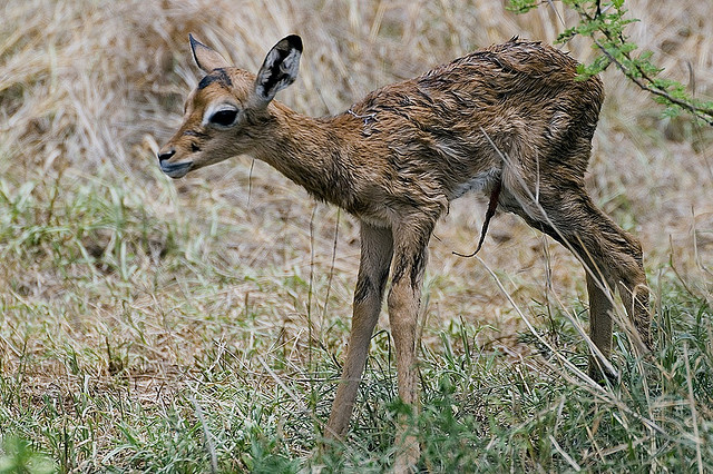 image05