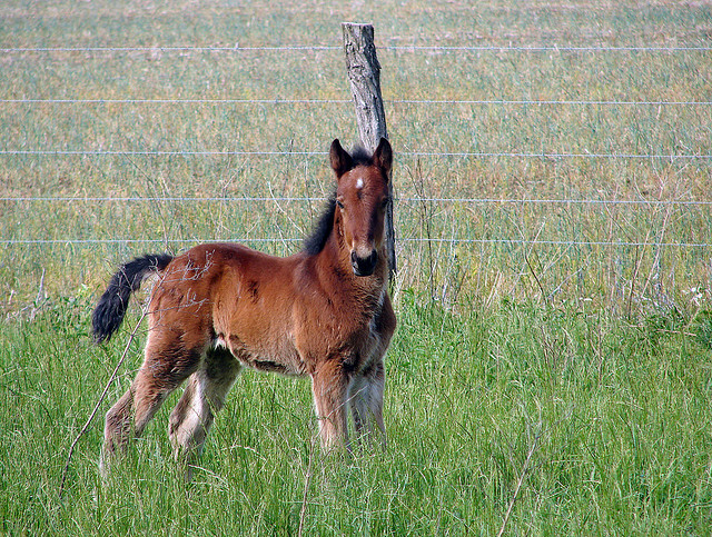 image06