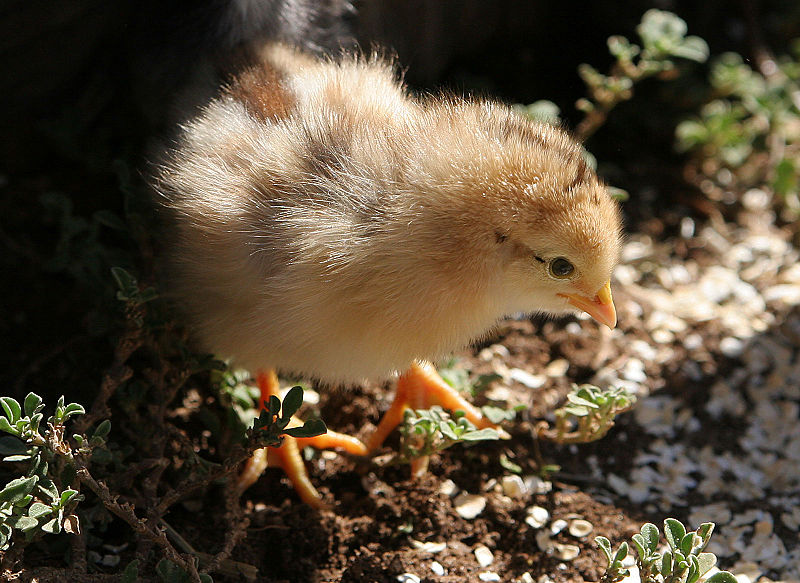 image07