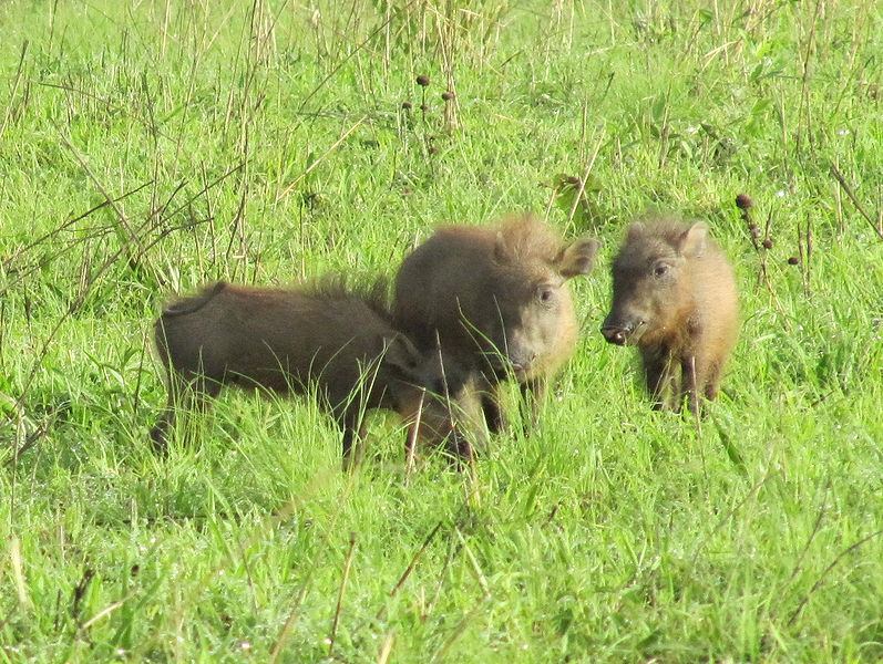 image09